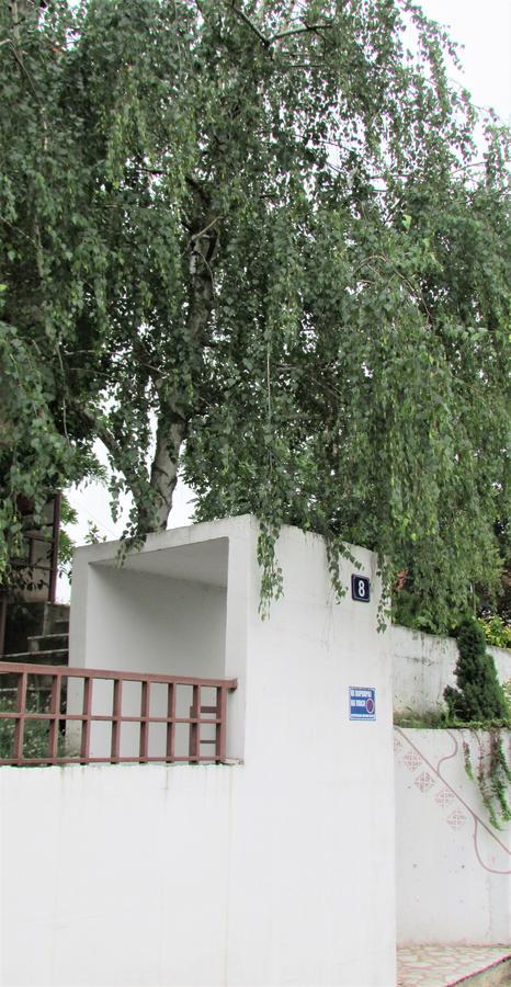 Apartment B&S بلغراد المظهر الخارجي الصورة